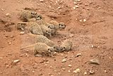 leipzig zoo-01_07_2011_zoo_allgemein_340
